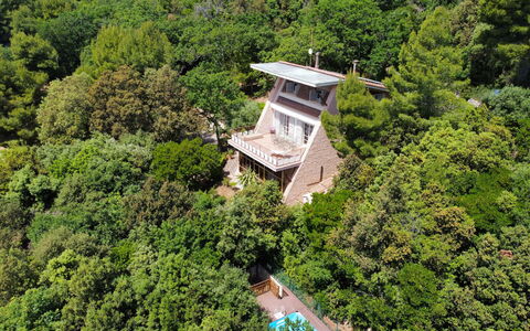 Villa Sole - Exclusive Villa al Conero con Piscina: Vegetation, Huis, Landgoed, Verblijf, Jungle, Eco Hotel, Villa, Evergreen, Herenhuis, Balkon
