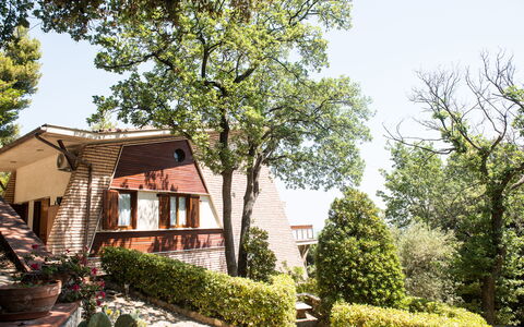 Villa Sole - Exclusive Villa al Conero con Piscina: Blad, Struik, Woongebied, Huis, Verblijf, Tuin, De Lente, Landgoed, Landscaping, Werf