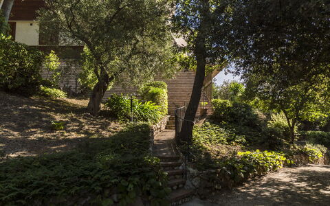 Villa Sole - Exclusive Villa al Conero con Piscina: Blad, Afdeling, Natuur, Vegetation, Struik, Tuin, Plantengemeenschap, Landschap, Takje