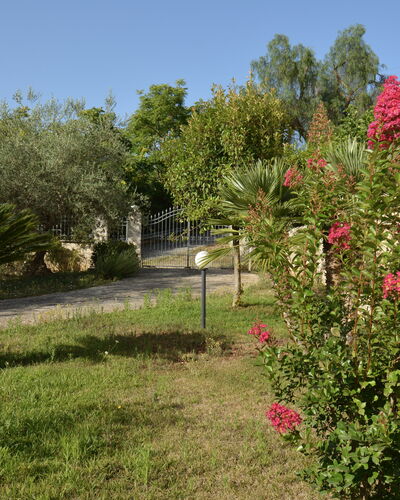 Villa del Monte: Bloem, Struik, Tuin, Roze, De Lente, Bloeiende Plant, Landscaping, Botanische Tuin, Werf