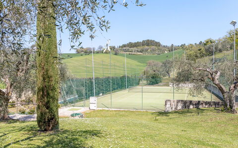Serafini Holiday Home: Boom, Land Lot, Tennisbaan, Gazon, Tuin, Schaduw, Landscaping, Park, Hek