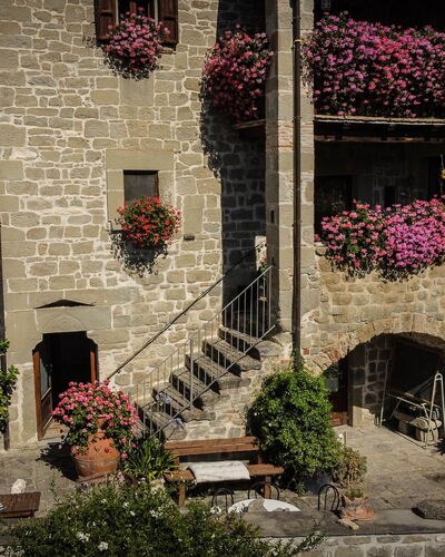 Agriturismo Arcera: Bloempot, Kamerplant, Bloemisterij, Tuin, Binnenplaats, Werf, Bloemdessin, Hacienda
