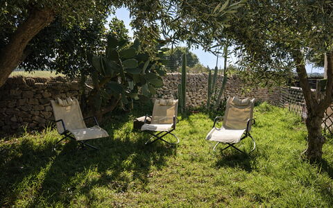 Ranch Salomonello: Meubilair, Buitenmeubels, Stoel, Klapstoel, Schaduw, Tuin, Ligstoel, Backyard, Werf, Gazon