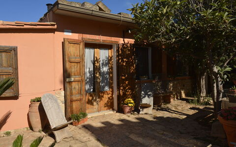 Ranch Salomonello: Bloempot, Deur, Kamerplant, Schaduw, Tuin, Home Deur, Backyard, Werf, Beits, Stoel