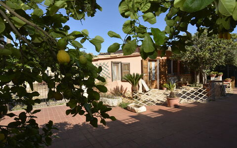 Ranch Salomonello: Struik, Bloempot, Tuin, Schaduw, Kamerplant, Werf, Backyard, Landscaping, Stoel