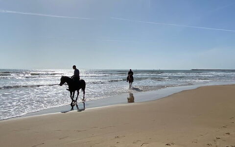 Tenuta Renna: Strand, Paard, Zee, Kust, Recreatie, Oceaan, Kust, Kust En Oceanic Landvormen, Zand