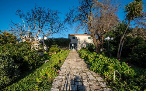 Tenuta Renna: Struik, Tuin, De Lente, Landscaping, Werf, Gang, Botanische Tuin