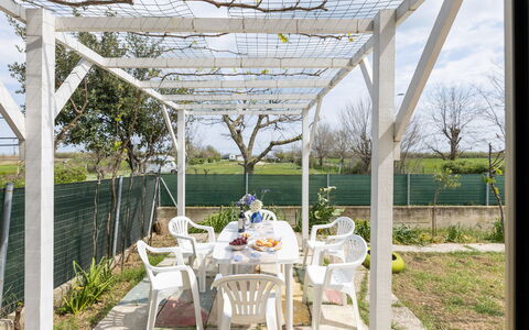 Casa di Lilia: Schaduw, Tuin, Outdoor Structuur, Pergola, Landscaping, Backyard, Werf, Canopy, Daylighting, Garden Gebouwen