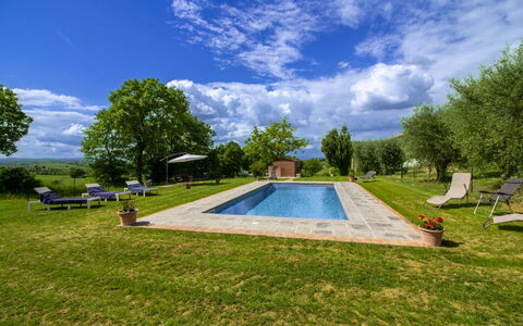 Gli Ulivi: Tuin, Zwembad, Landgoed, Gazon, Landscaping, Schaduw, Boerderij, Werf, Park, Hacienda