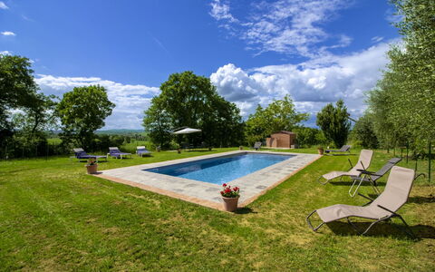 Gli Ulivi: Tuin, Gazon, Zwembad, Landscaping, Landgoed, Park, Werf, Backyard, Boerderij, Hacienda