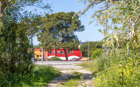 Casale Oleandro Marino: Boom, Rood, Struik, Land Lot, Schaduw, Landscaping, Oprit