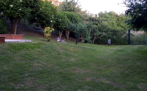 Casale Oleandro Marino: Gras, Blad, Landschap, Tuin, Gazon, Land Lot, Groundcover, De Lente, Werf