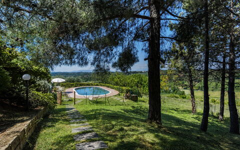 Villa Quintino: Blauw, Schaduw, Landscaping, Park, Zwembad