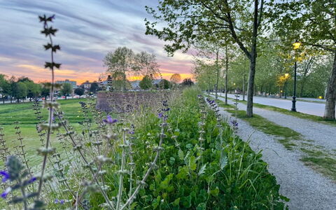 Alla Torre: Lucht, Blauw, Dag, Natuur, Wolk, Zomer, Struik, De Lente, Ochtend, Cumulus