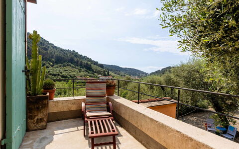 Accommodatie:&nbsp;Il Nespolo 650.5