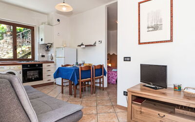 Accommodatie:&nbsp;Andrea 260.1