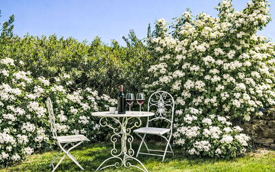 Accommodatie:&nbsp;Le Mangiatoie 985.2