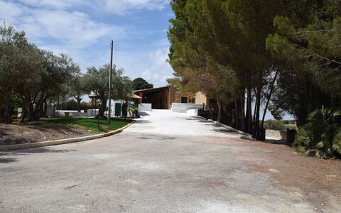 Villa Chiaramonte Gulfi: Boom, Weg Oppervlak, Oprit, Schaduw, Landscaping, Hacienda, Schaduw, Pad