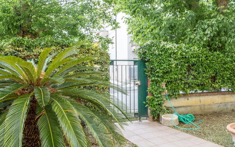 Corte Marina Apartment: Groen, Blad, Vegetation, Struik, Woody Plant, Tuin, Schaduw, Landscaping, Evergreen