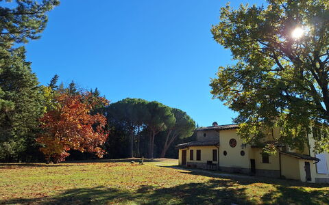 House in the Woods, Pool and Relax in Umbria: Boom, Gras, Blad, Afdeling, Huis, Huis, Plain, Land Lot, Gazon, Trunk