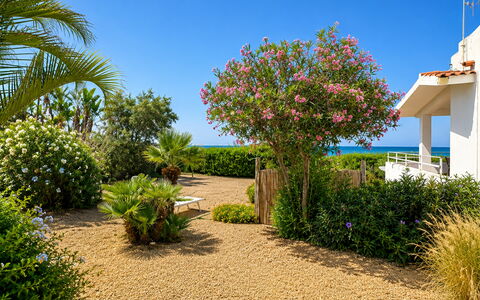 Punta Braccetto Fronte Mare: Bloem, Groen, Struik, Tuin, Plantengemeenschap, Groundcover, Landscaping, Gang, Botanische Tuin