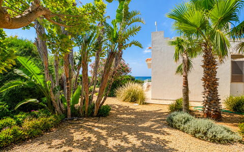 Punta Braccetto Fronte Mare: Groen, Vegetation, Struik, Landschap, Tuin, Landscaping, Gang, Schaduw