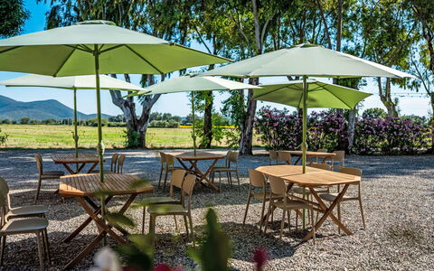Grosseto 830: Meubilair, Paraplu, Buitenmeubels, Buitentafel, Tafel, Schaduw, Stoel, Tuin, Keuken En Eettafel, Gazon
