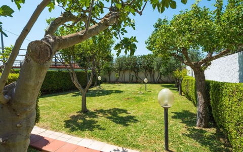 Villa Sole Mare: Tuin, Gazon, Schaduw, De Lente, Landscaping, Gang, Werf, Park, Backyard