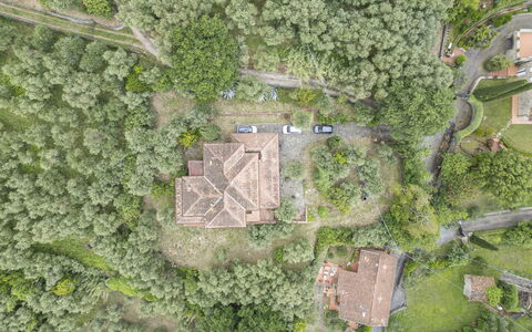 Villa Golly: Landschap, Landgoed, Luchtfotografie, Dorp, Plantage, Vogelperspectief, Jungle, Herenhuis, Dicht Struikgewas