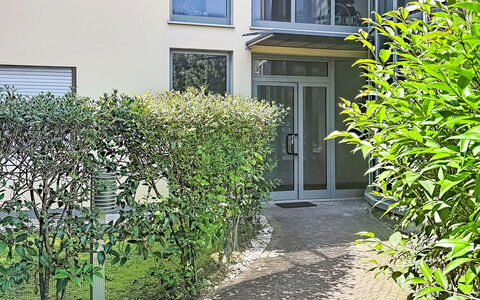 Nala: Struik, Stedelijk Ontwerp, Tuin, Haag, Schaduw, Werf, Landscaping, Backyard, Binnenplaats