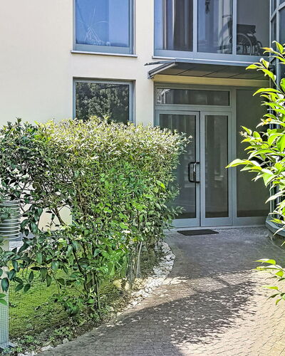 Nala: Struik, Stedelijk Ontwerp, Tuin, Haag, Schaduw, Werf, Landscaping, Backyard, Binnenplaats