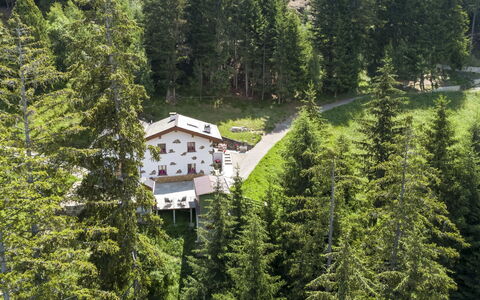 Chalet Ralon: Boom, Woud, Lariks, Verblijf, Heuvel Station, Evergreen, Tropische En Subtropische Naaldbossen, Bergdorp