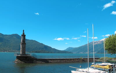 Il Cervo