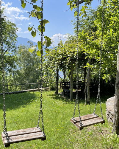 Il Cervo