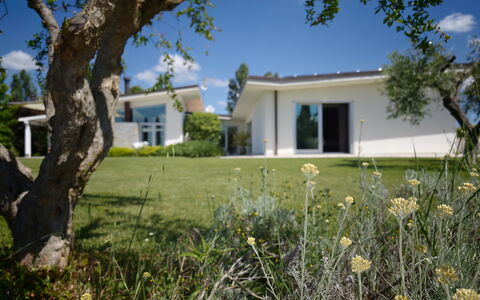 Villa Mulberry Garden - Esclusiva con Piscina Priv: Huis, Struik, Woongebied, Land Lot, Gazon, Landgoed, Tuin, Verblijf, Schaduw, Landscaping