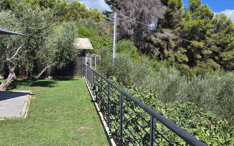 Villa Pineta della Rovere: Struik, Tuin, Hek, Schaduw, Leuning, Landscaping, Backyard, Home Schermen