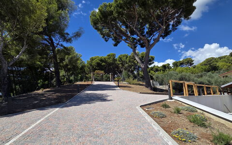 Villa Pineta della Rovere: Boom, Openbare Ruimte, Gang, Helling, Schaduw, Landscaping, Oprit, Pad, Trap, Trail