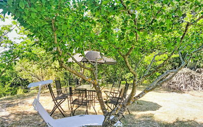 Archi 6: Blad, Afdeling, Buitenmeubels, De Lente, Buitentafel, Woody Plant, Schaduw, Tuin, Takje, Backyard