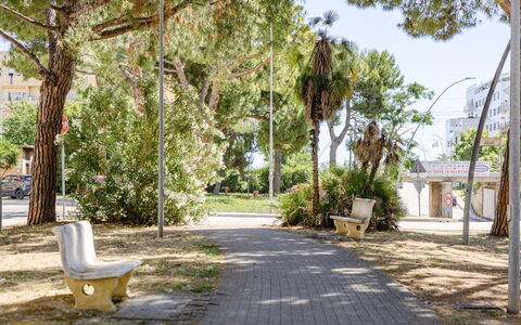 Casabianca: Boom, Afdeling, Openbare Ruimte, Schaduw, Trunk, Woody Plant, Openluchtbank, Bank, Stoep