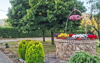 Accommodatie:&nbsp;Olivo 35.1