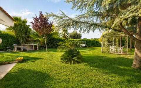 Il Cigno Reale Green: Gras, Boom, Groen, Blad, Vegetation, Tuin, Struik, Landschap, Gazon