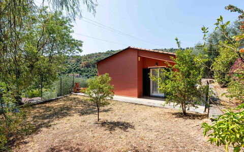 Orto di Silvia: Blad, Landschap, Land Lot, Landelijk Gebied, Helling, Schaduw, Garden Gebouwen, Boerderij