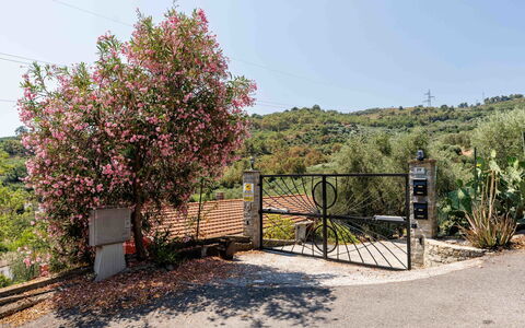 Orto di Silvia: Struik, Tuin, Hek, Pool, Landscaping, Home Schermen