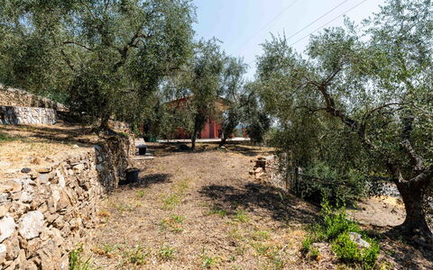 Orto di Silvia: Boom, Blad, Afdeling, Trunk, Bodem, Woody Plant, Landscaping, Trail, Backyard