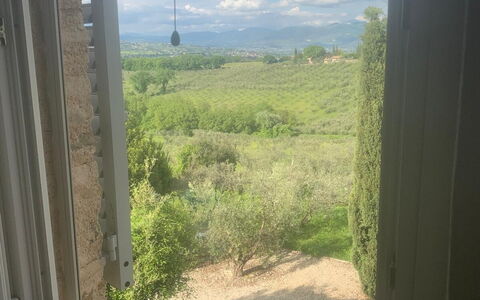 Il Casale al Colle: Zonlicht, Glas, Plantage, Daylighting