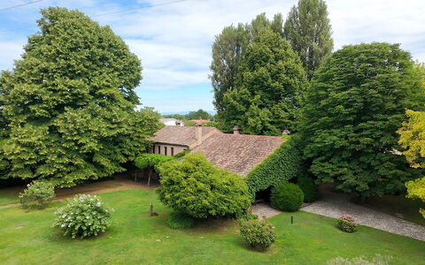 Villa Dorina: Boom, Blad, Gras, Groen, Struik, Huis, Landschap, Gazon, Huis