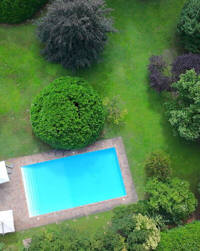 Villa Dorina: Zwembad, Struik, Tuin, Gazon, Landscaping, Backyard, Werf, Vrije Tijd, Toevlucht, Schaduw
