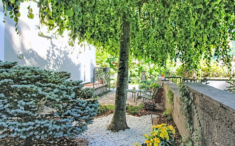 Boscolago: Blad, Groen, Vegetation, Struik, Tuin, Groundcover, De Lente, Woody Plant, Schaduw, Takje
