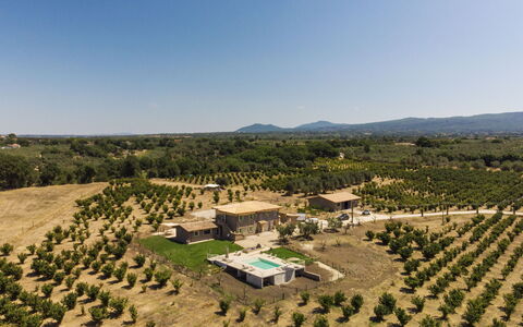Lago di Vico 629: Plain, Landschap, Land Lot, Landgoed, Vogelperspectief, Luchtfotografie, Veld, Plantage, Landbouw, Boerderij