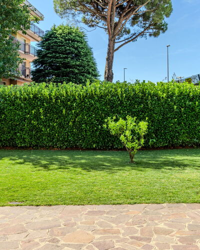 Villa Giulia: Groen, Struik, Haag, Tuin, Groundcover, Gazon, Landscaping, Schaduw, Gang, Kunstgras